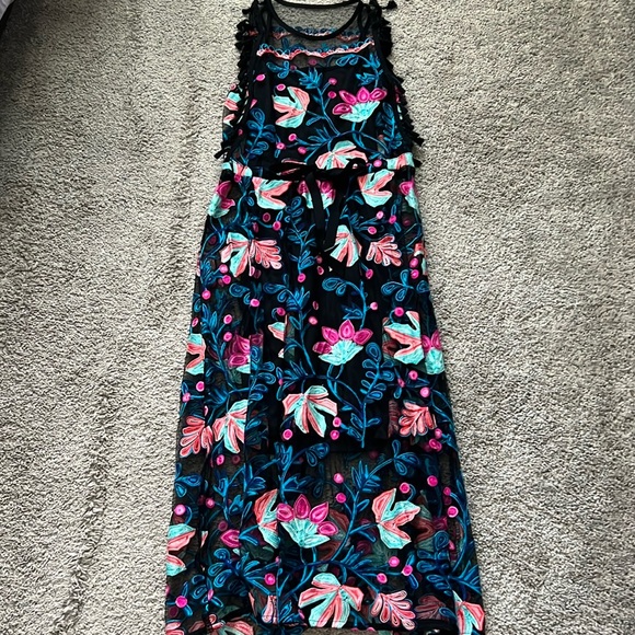 RARE Anthropologie Eva Franco Embroidered Dress - Size 6 - Picture 2 of 6